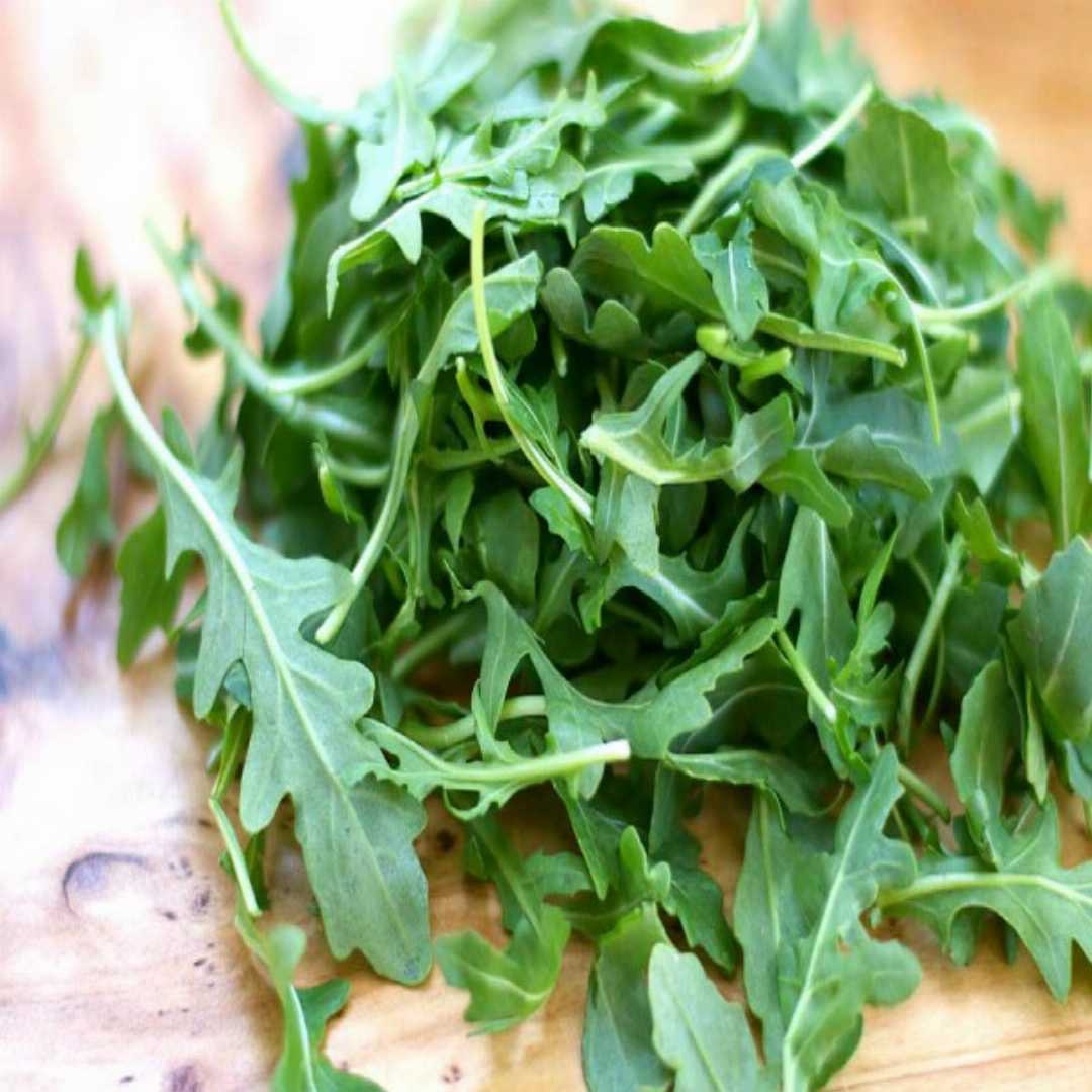 Rocket Rucola Italian Cut Wild Leaf Sprouting Microgreens Seeds| Buy ...