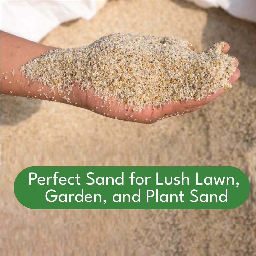 PLANTIC Natural River Sand Pure Organic Plants Soil Mix Additive 900 gm