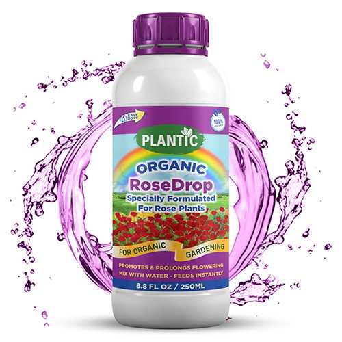 plantic-rose-fertilizer-liquid1.jpg